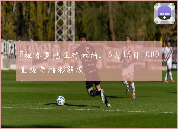 E组克罗地亚对加纳:6月15日1000直播与精彩解读