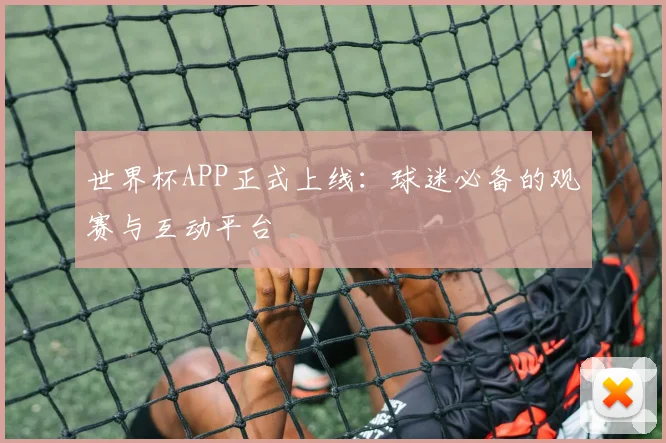 世界杯APP正式上线：球迷必备的观赛与互动平台